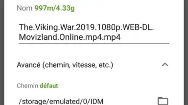 Screenshot von IDM (internet download menager) 2