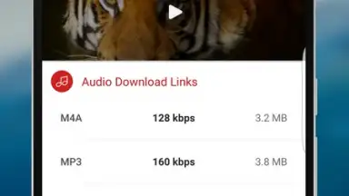 Screenshot von Videoder 6