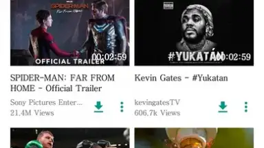 Screenshot von VidPaw App 1