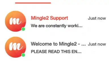 Screenshot von Mingle2 9
