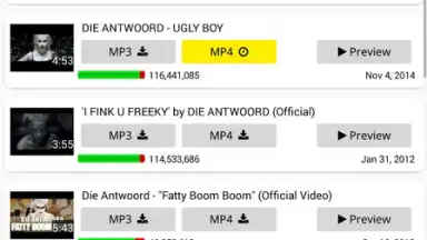 Screenshot von YT3 Music Downloader 8