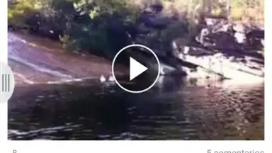 Screenshot von Appbloo FB Video Downloader 1