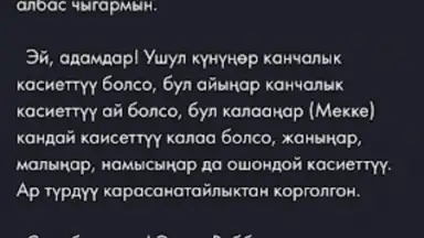 Screenshot von Nasaat Media 2