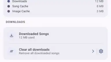 Screenshot von VIVI Music 13