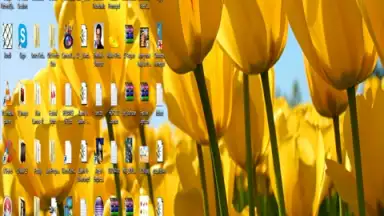 Screenshot von Remote PC Share 7