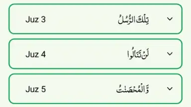 Screenshot von Quran Majeed 1