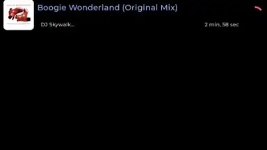 Screenshot von SpotiFlyer 4