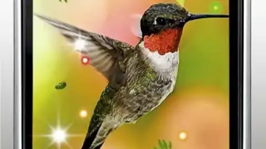 Screenshot von Colibri Spring 3D LWP 2