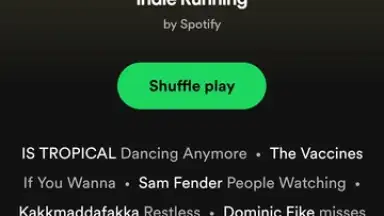 Screenshot von Spotify Lite 4