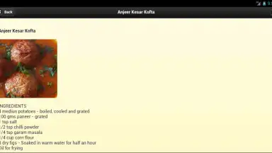 Screenshot von Mughlairecipes 9