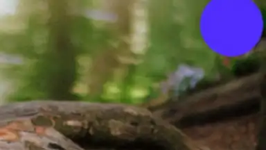 Screenshot von Rus Wife 7