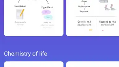 Screenshot von Socratic by Google 6