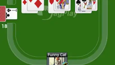 Screenshot von Durak Online HD 1