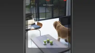 Screenshot von Manything 2
