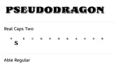 Screenshot von WhatTheFont 4