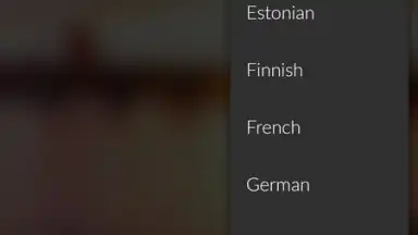 Screenshot von Microsoft Translator 4