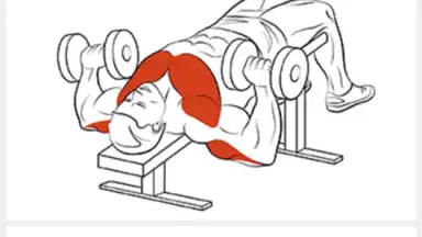 Screenshot von FitProSport 5