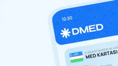 Screenshot von DMED 15