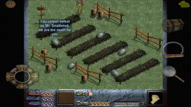 Screenshot von Dink Smallwood HD 11