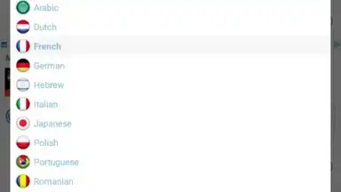 Screenshot von Reverso Translation Dictionary 9