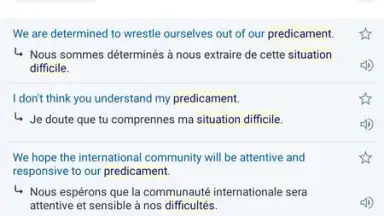 Screenshot von Reverso Translation Dictionary 3