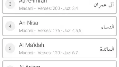 Screenshot von Easy Quran Mp3 6
