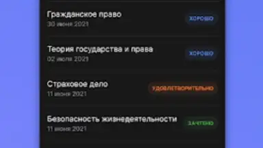 Screenshot von Портал МФЮА 8