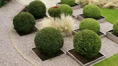 Screenshot von Garden Design Ideas 4