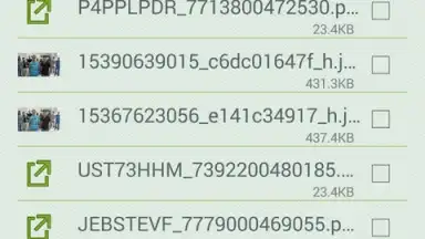 Screenshot von Download Manager Android 4