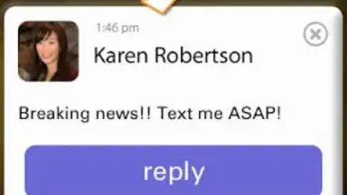 Screenshot von Pinger Messenger 3