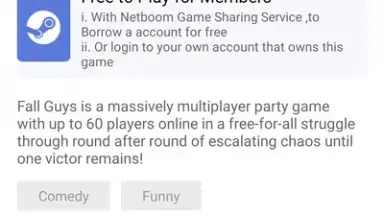 Screenshot von netboom 6