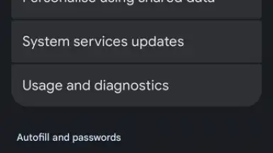 Screenshot von Google Play services 22