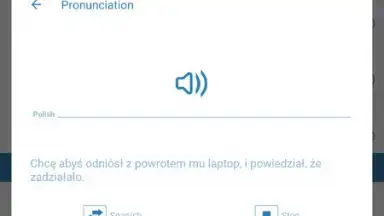 Screenshot von Reverso Translation Dictionary 14
