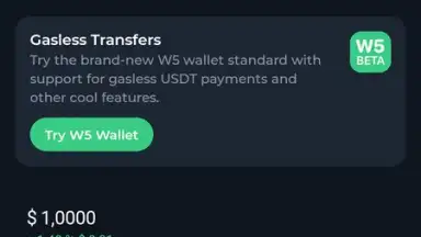 Screenshot von Tonkeeper 5