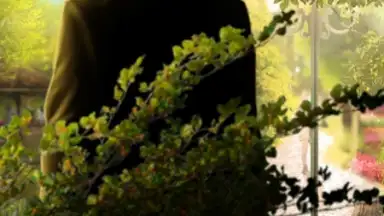Screenshot von Time Travel Romance 3