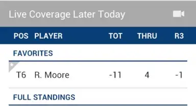 Screenshot von PGA TOUR 13