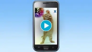 Screenshot von Talking, Dancing Cat. 1