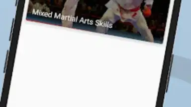 Screenshot von Ultimate MMA Fighting Program 2