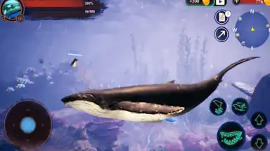 Screenshot von The Humpback Whales 22