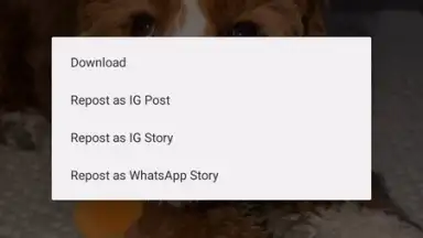 Screenshot von InstaPrime 2
