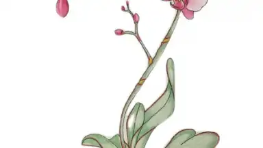 Screenshot von Shuffles by Pinterest 2