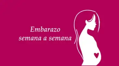 Screenshot von Semanas Embarazo 7