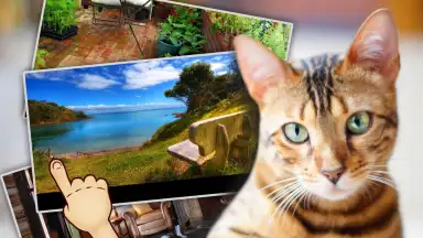 Screenshot von Find Kitten 1