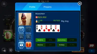 Screenshot von Dinger Poker 2