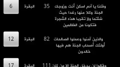 Screenshot von Holy Quran 2