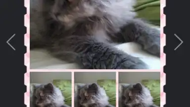 Screenshot von Wondershare PowerCam 2