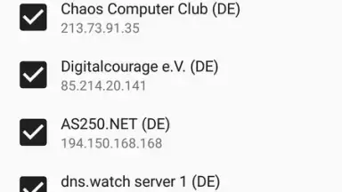 Screenshot von DNS66 4