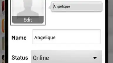 Screenshot von eBuddy Messenger 1