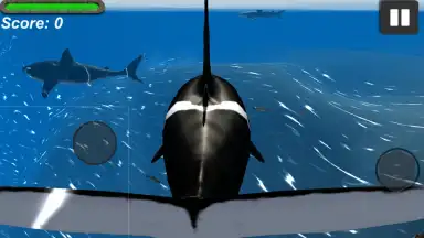 Screenshot von Orca Simulator 3