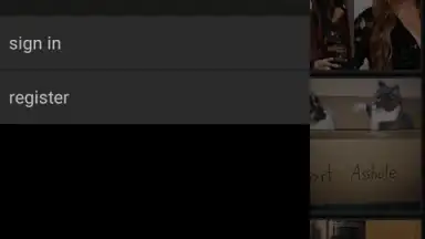 Screenshot von Imgur 3